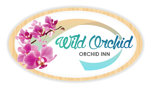 Orchid Inn Resort
