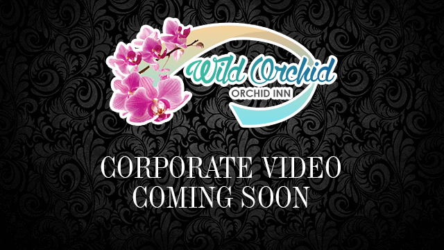 Corporate Video Coming Soon Corporate Video Coming Soon